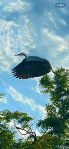 飛び立つ瞬間